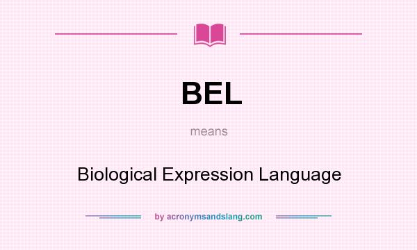 What does BEL mean? It stands for Biological Expression Language