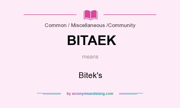 What does BITAEK mean? It stands for Bitek`s