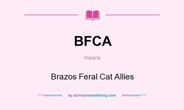 What does BFCA mean? It stands for Brazos Feral Cat Allies