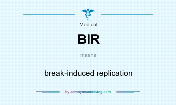 What does BIR mean? It stands for break-induced replication