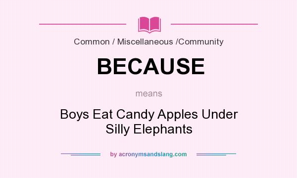 What does BECAUSE mean? It stands for Boys Eat Candy Apples Under Silly Elephants