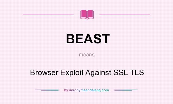 What does BEAST mean? It stands for Browser Exploit Against SSL TLS