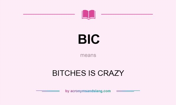 What does BIC mean? It stands for BITCHES IS CRAZY