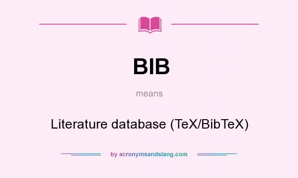 What does BIB mean? It stands for Literature database (TeX/BibTeX)