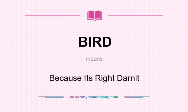 What does BIRD mean? It stands for Because Its Right Darnit