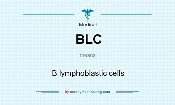 What does BLC mean? It stands for B lymphoblastic cells
