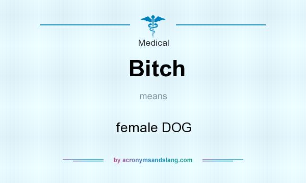 What does Bitch mean? It stands for female DOG