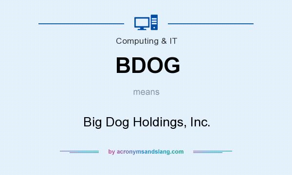 What does BDOG mean? It stands for Big Dog Holdings, Inc.