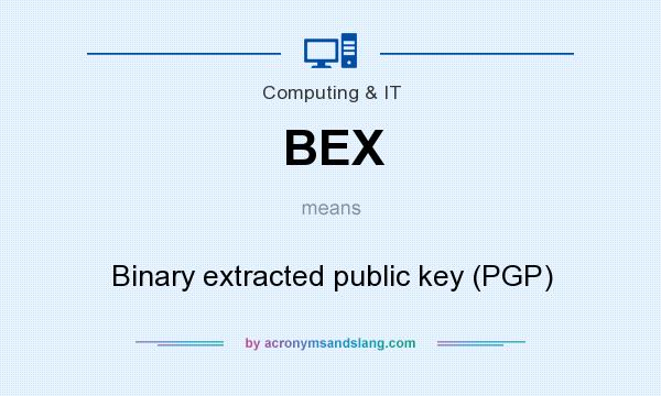 What does BEX mean? It stands for Binary extracted public key (PGP)