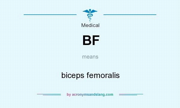 What does BF mean? It stands for biceps femoralis
