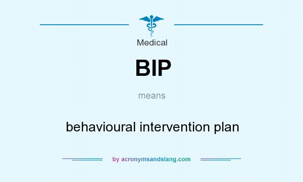 What does BIP mean? It stands for behavioural intervention plan