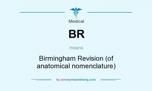 What does BR mean? It stands for Birmingham Revision (of anatomical nomenclature)
