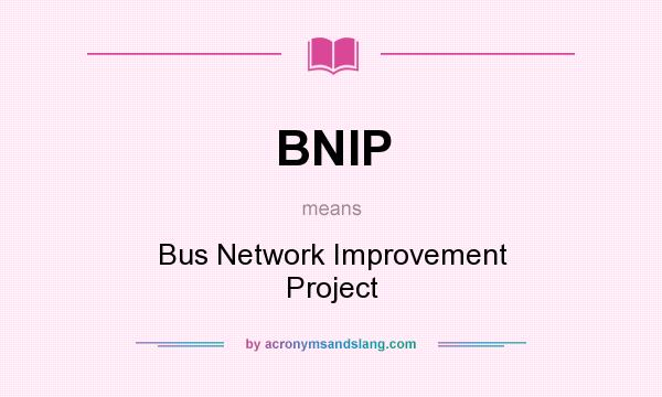 What does BNIP mean? It stands for Bus Network Improvement Project
