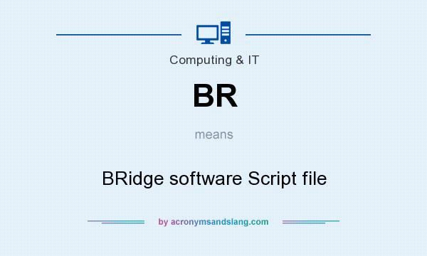 What does BR mean? It stands for BRidge software Script file