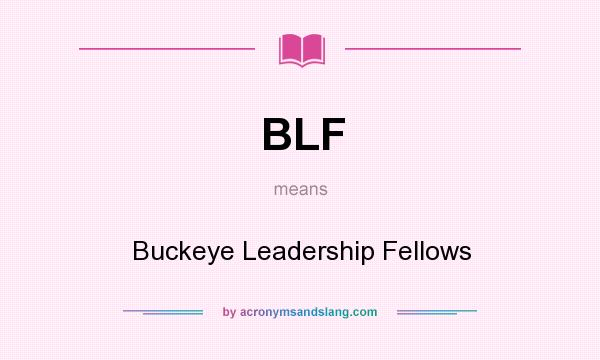 What does BLF mean? It stands for Buckeye Leadership Fellows