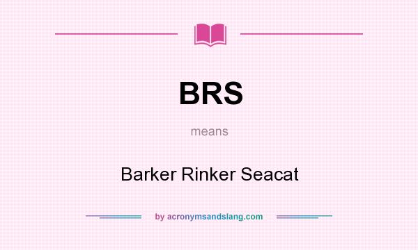 What does BRS mean? It stands for Barker Rinker Seacat