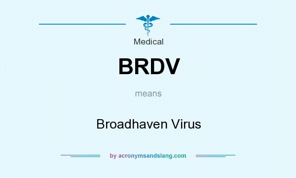 What does BRDV mean? It stands for Broadhaven Virus