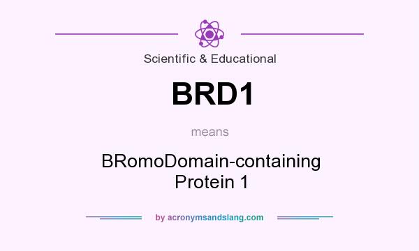 What does BRD1 mean? It stands for BRomoDomain-containing Protein 1