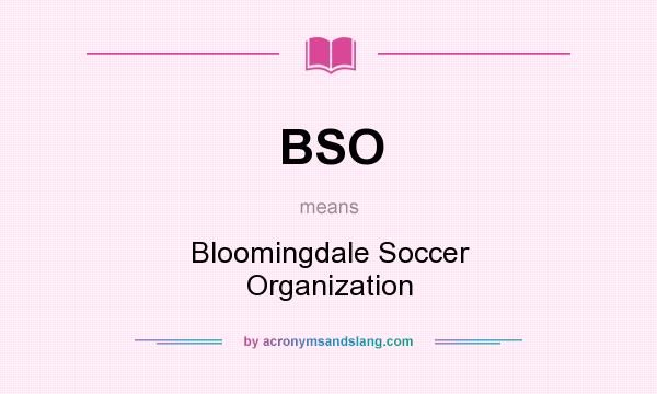What does BSO mean? It stands for Bloomingdale Soccer Organization