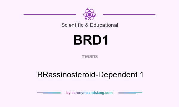 What does BRD1 mean? It stands for BRassinosteroid-Dependent 1