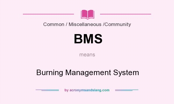 What does BMS mean? It stands for Burning Management System