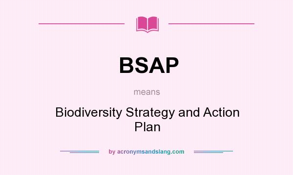 What does BSAP mean? It stands for Biodiversity Strategy and Action Plan