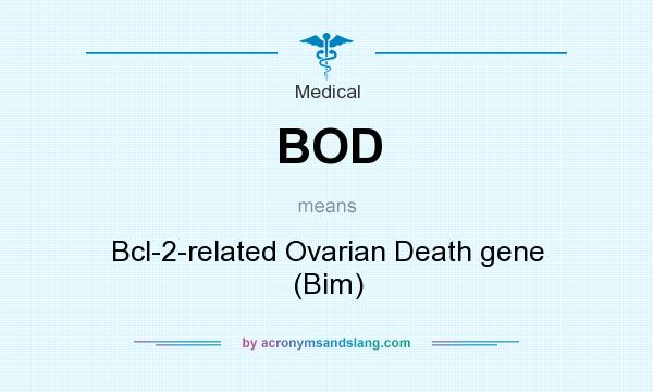 What does BOD mean? It stands for Bcl-2-related Ovarian Death gene (Bim)