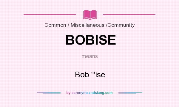What does BOBISE mean? It stands for Bob “`ise