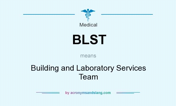 What does BLST mean? It stands for Building and Laboratory Services Team