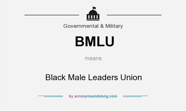 What does BMLU mean? It stands for Black Male Leaders Union