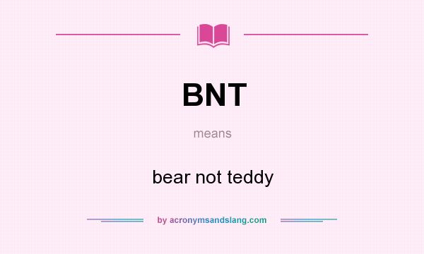What does BNT mean? It stands for bear not teddy