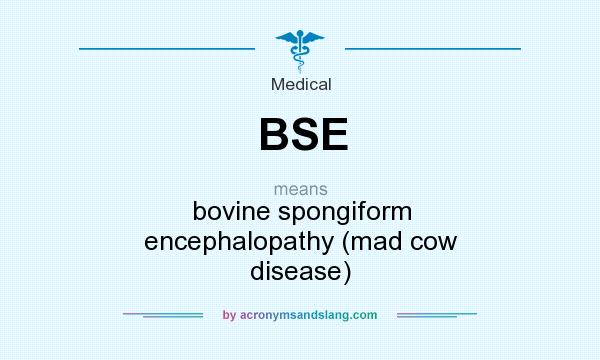 What does BSE mean? It stands for bovine spongiform encephalopathy (mad cow disease)