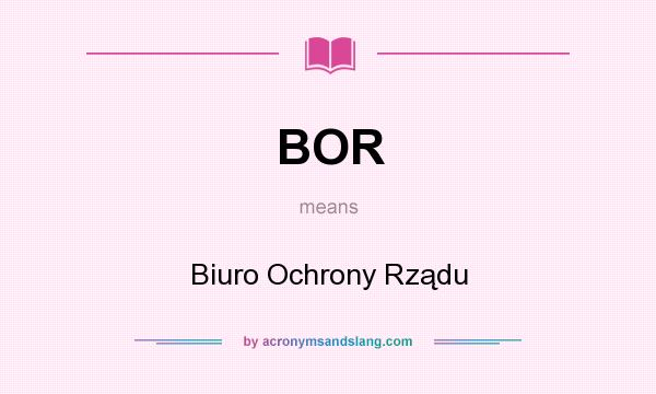 What does BOR mean? It stands for Biuro Ochrony Rządu