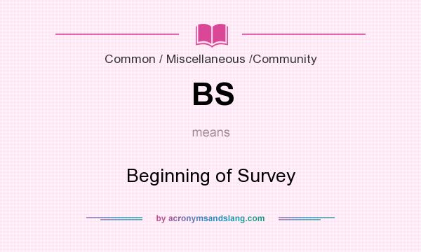 What does BS mean? It stands for Beginning of Survey