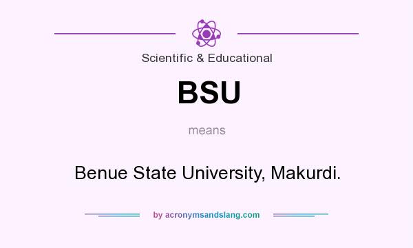 What does BSU mean? It stands for Benue State University, Makurdi.