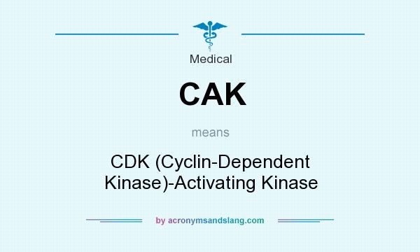 What does CAK mean? It stands for CDK (Cyclin-Dependent Kinase)-Activating Kinase