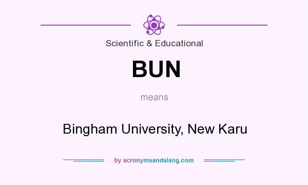 What does BUN mean? It stands for Bingham University, New Karu