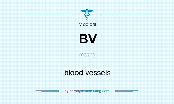 What does BV mean? It stands for blood vessels
