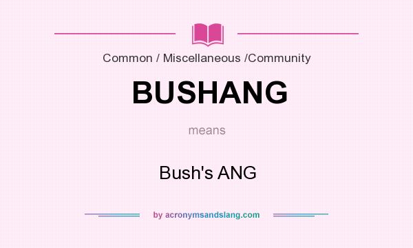 What does BUSHANG mean? It stands for Bush`s ANG