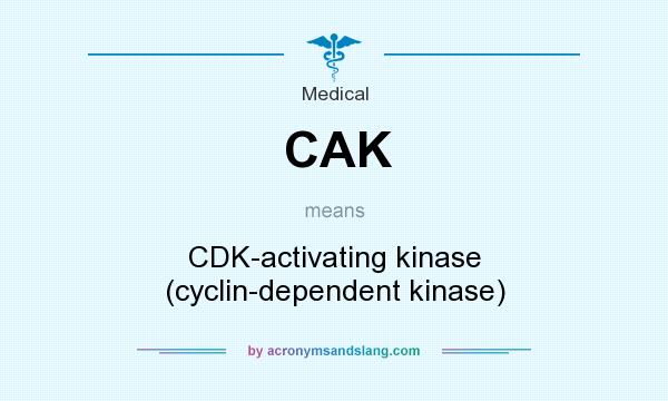 What does CAK mean? It stands for CDK-activating kinase (cyclin-dependent kinase)
