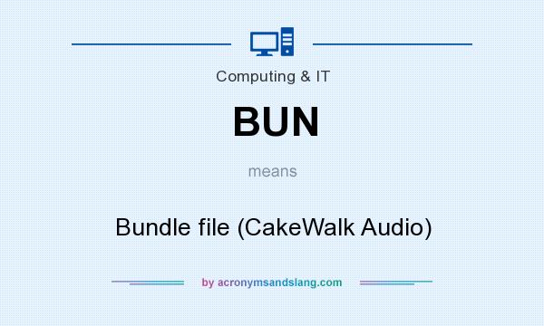 What does BUN mean? It stands for Bundle file (CakeWalk Audio)