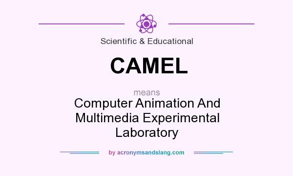 What does CAMEL mean? It stands for Computer Animation And Multimedia Experimental Laboratory