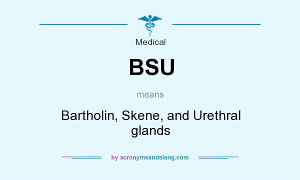What does BSU mean? It stands for Bartholin, Skene, and Urethral glands