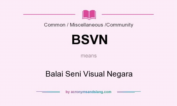 What does BSVN mean? It stands for Balai Seni Visual Negara
