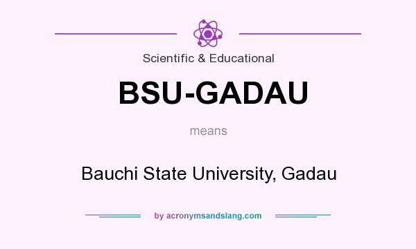 What does BSU-GADAU mean? It stands for Bauchi State University, Gadau