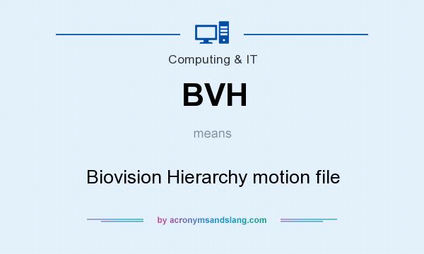 What does BVH mean? It stands for Biovision Hierarchy motion file