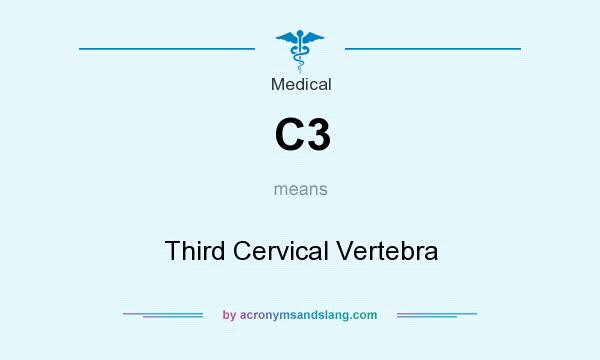 What does C3 mean? It stands for Third Cervical Vertebra