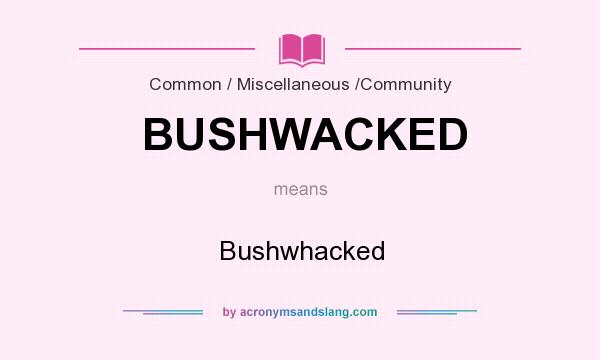 What does BUSHWACKED mean? It stands for Bushwhacked