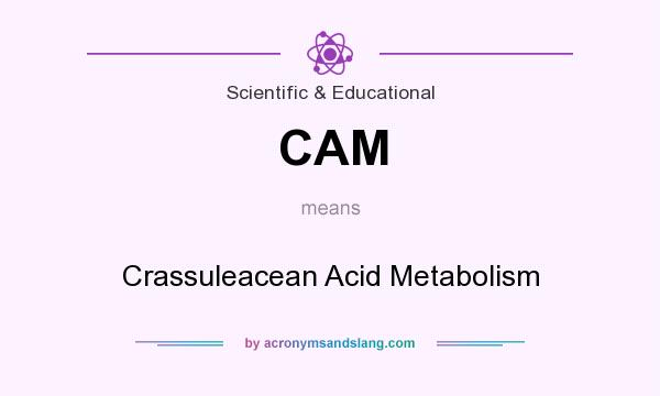 What does CAM mean? It stands for Crassuleacean Acid Metabolism
