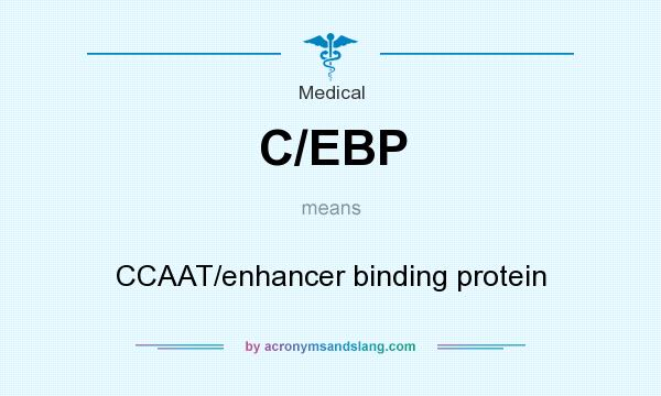 What does C/EBP mean? It stands for CCAAT/enhancer binding protein